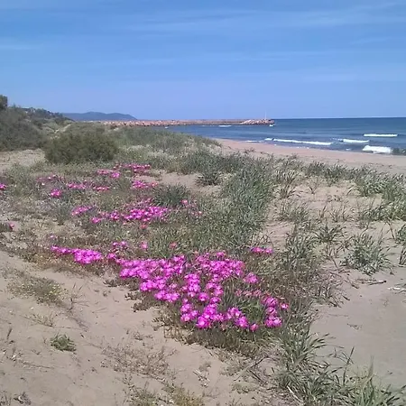 A Feraxi 무라베라