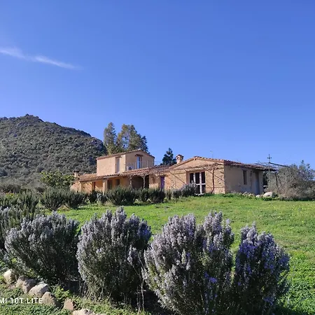 Apartamento A Feraxi